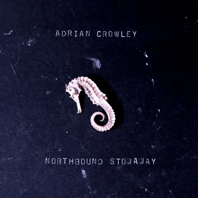 Adrian Crowley Watchful Eye Of The Stars (LP) 
