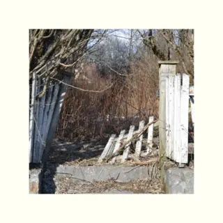 Killer Kid Mozart There's A Psycho Behind The Wheel (LP)