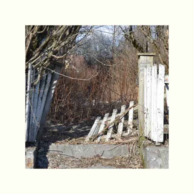 Killer Kid Mozart There's A Psycho Behind The Wheel (LP) 