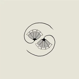 Godspeed You! Black Emperor G_d's Pee AT STATE'S END! (LP+10'')