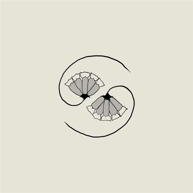 Godspeed You! Black Emperor G_d's Pee AT STATE'S END! (LP+10'') 