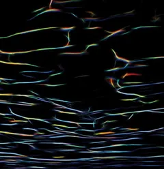 Porter Ricks Biokinetics (2LP)