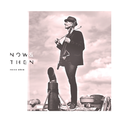Fried Dähn Now &amp; Then (LP)
