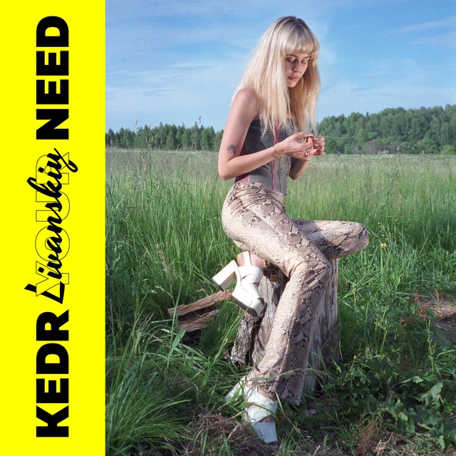 Kedr Livanskiy Your Need (LP) 