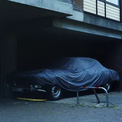 Black Bones Night Drives (LP)