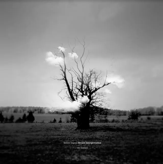 Kazuya Nagaya Dream Interpretation (The Remixes) (3LP) 