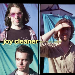 Joy Cleaner You're So Jaded (LP)