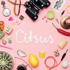 Animal Daydream Citrus EP (7")