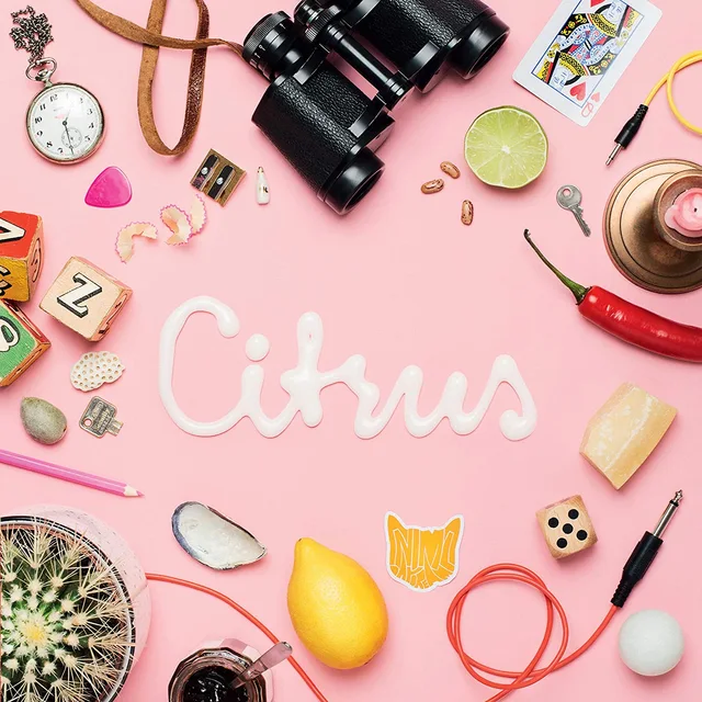 Animal Daydream Citrus EP (7") 