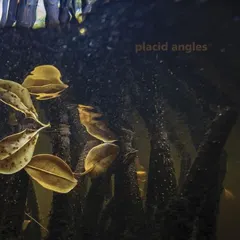 Placid Angels Touch The Earth (3 x 12")