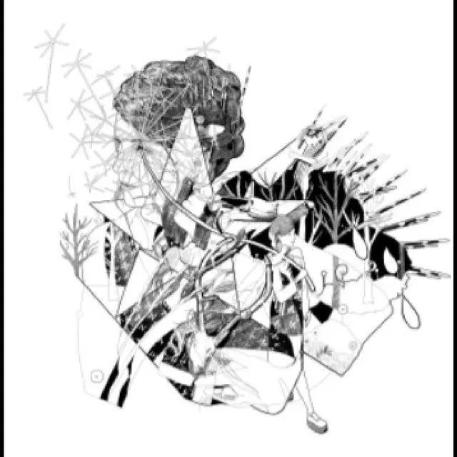 Jesca Hoop Selective Memory (LP) 