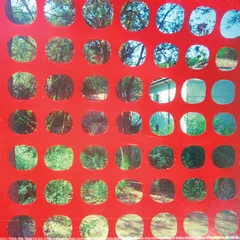 John Dwyer/Ted Byrnes/Brad Caulkins… Endless Garbage (LP)