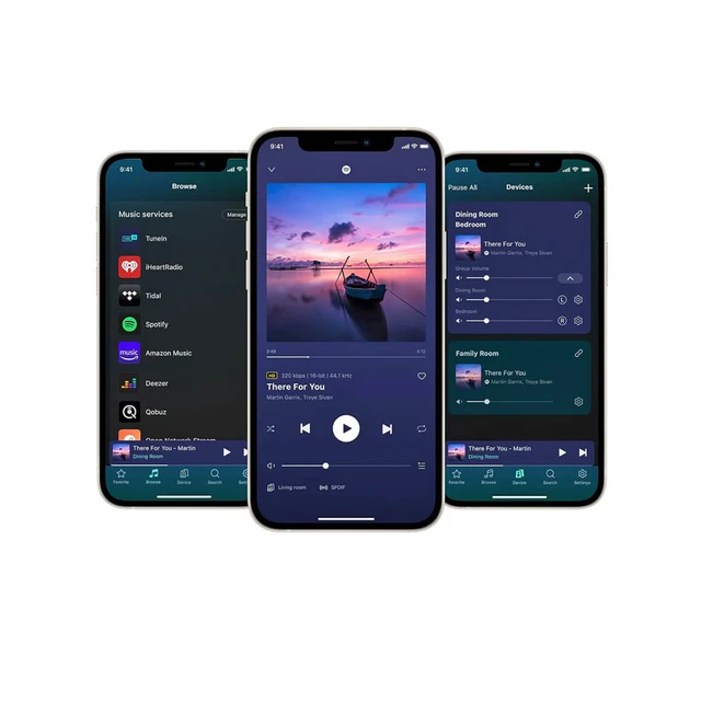 WiiM Ultra, streamer/forforsterker MM-RIAA,  HDMI-ARC, sølv 