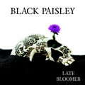 Black Paisley Late Bloomer (LP)