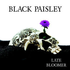 Black Paisley Late Bloomer (LP)