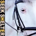 Iceage Seek Shelter (LP)