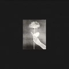 White Flowers Day By Day - LTD (LP)