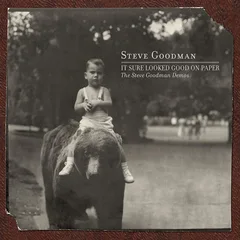 Steve Goodman It Sure Looked Good On Paper… (2LP)