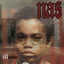 Nas Illmatic - LTD (LP)