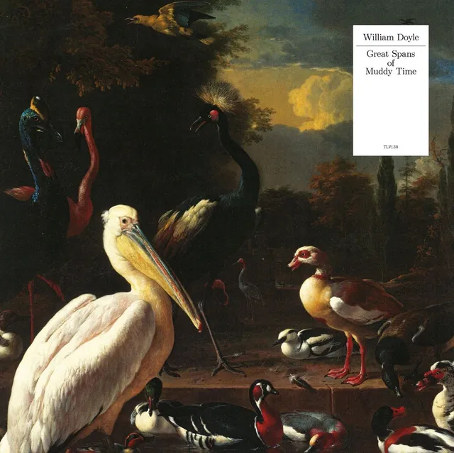 William Doyle Great Spans Of Muddy Time (LP) 