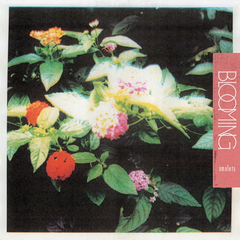 Amulets Blooming (LP)