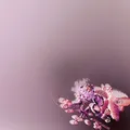 Diverse Artister Affinity 2 (2LP)