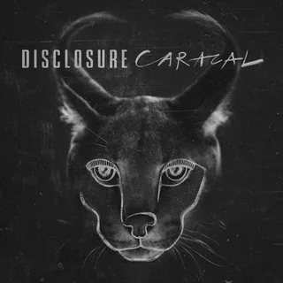 Disclosure Caracal (LP)