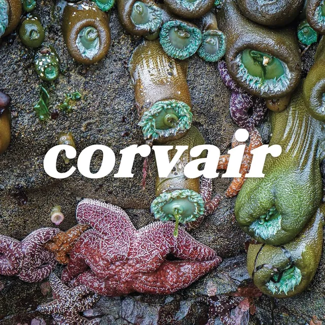 Corvair Corvair (LP) 