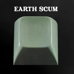 FYI Chris Earth Scum (2LP)