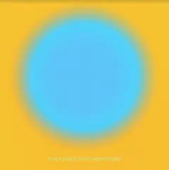 Tom Furse Ecstatic Meditations (LP)