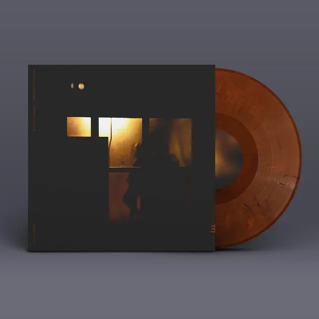 Sachal Vasandani Midnight Shelter (LP) 