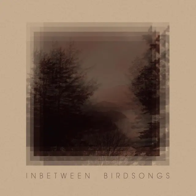 Matthias Gussett Inbetween Birdsongs (LP) 