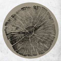 Roy Montgomery H: Bender (LP)