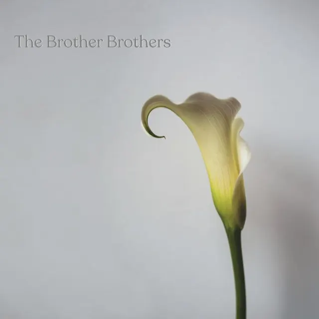 The Brother Brothers Calla Lily (LP) 
