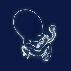 Sigur Rós Ágætis Byrjun (2LP)
