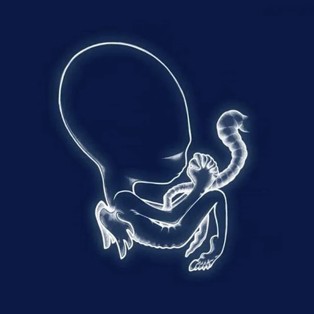 Sigur Rós Ágætis Byrjun (2LP) 