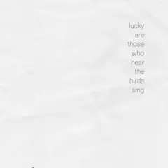Diverse Artister Lucky Are Those Who Hear The Birds… (LP)