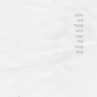 Diverse Artister Lucky Are Those Who Hear The Birds… (LP) 