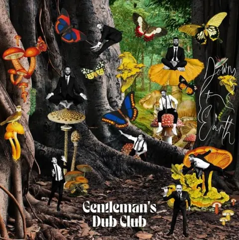 Gentleman's Dub Club Down To Earth (LP) 
