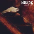 Warning The Demo Tapes - LTD (LP)