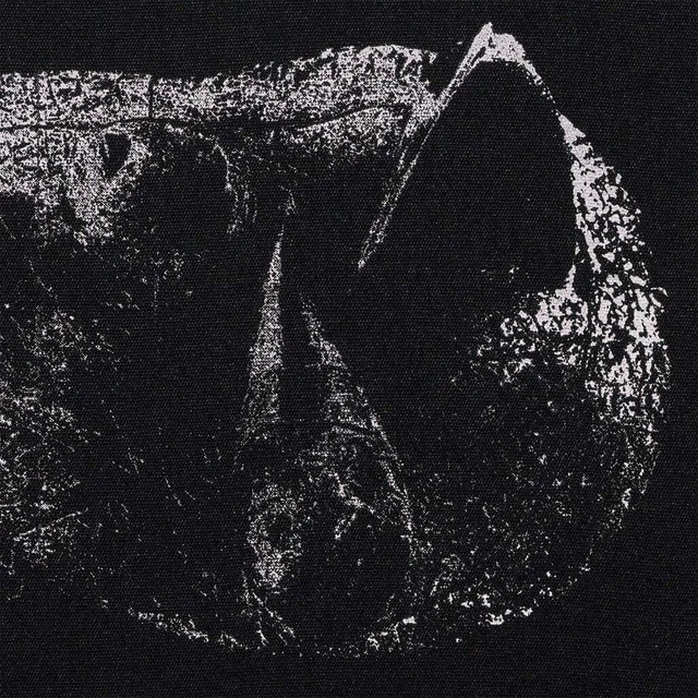 Demon Head Viscera (LP) 