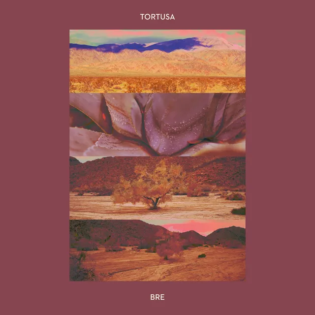 Tortusa Bre (LP) 