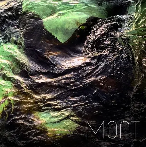 Moat Poison Stream - LTD (LP) 