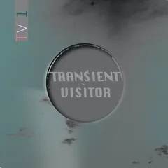 Transient Visitor TV1 (LP)
