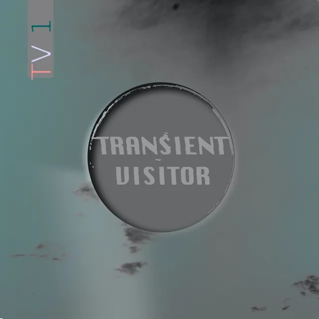 Transient Visitor TV1 (LP) 