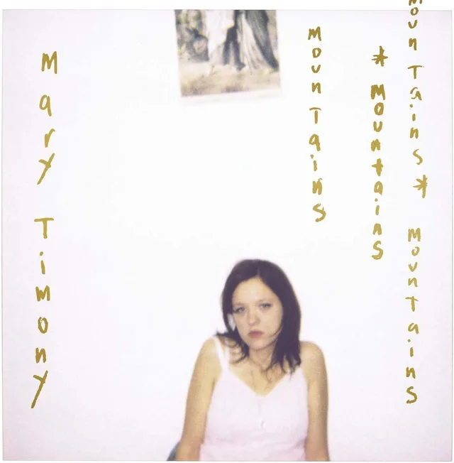 Mary Timony Mountains: 20th Anniversary - LTD (2LP) 