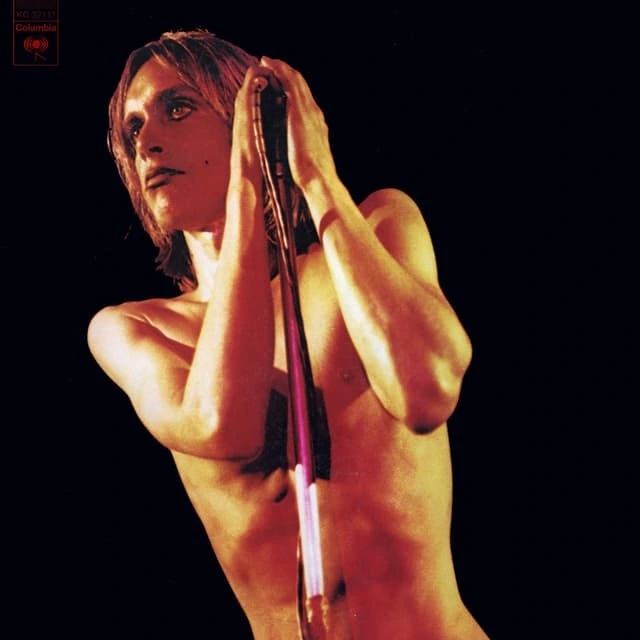 Iggy & The Stooges Raw Power - LTD (LP) 