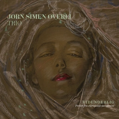 Jørn Simen Øverli Trio Vidunderlig - Perler Fra... (LP)