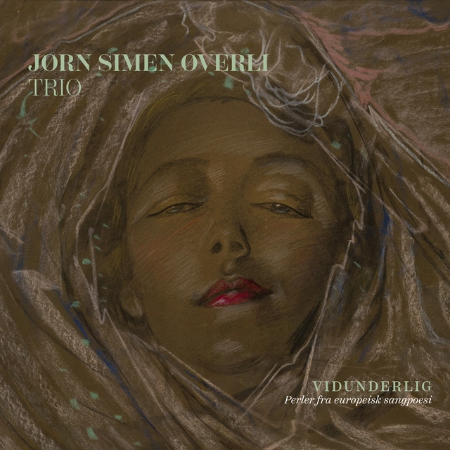 Jørn Simen Øverli Trio Vidunderlig - Perler Fra... (LP) 
