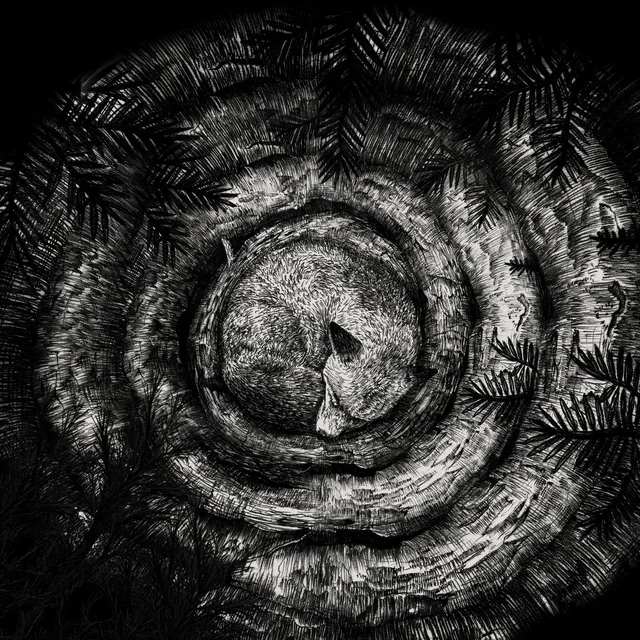 Forhist Forhist (LP) 